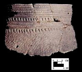 Sullivan Cove mended incised rim sherds (2 of 2) from a Cedar Point shell heap in Anne Arundel County, Maryland - SI Cat. #402922 - Courtesy of the Smithsonian Institution, Museum of Natural History, Department of Anthropology.